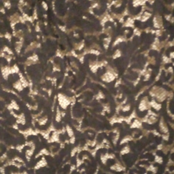 Gorgeous The Limited Black Lace Overlay Lined Sheath Dress - Size XL - Picture 3 of 12